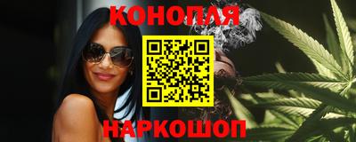 гашик Будённовск