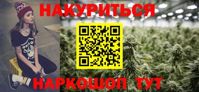 гашик Будённовск